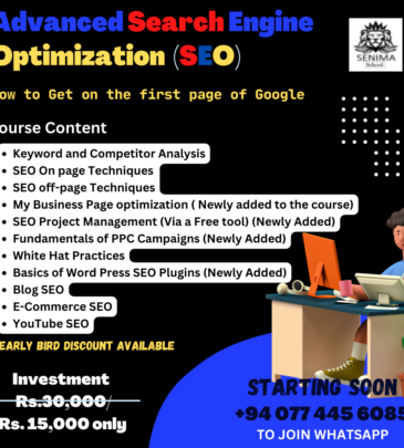 Advanced Search Engine Optimization Course